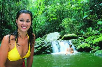 Lodge Crystal Creek Rainforest Retreat