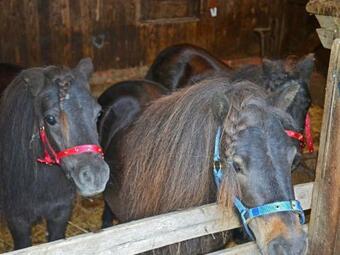 Stunning Cottage Set In Quiet Farmyard In Biddenden Countryside