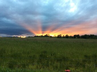 Ardoch Cottage Bed & Breakfast