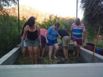 Apartamento Paradisio