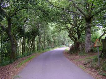 Agroturismo Stone Cottage Esencia