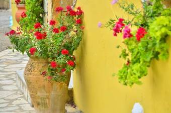 Kapases Studios & Apartments