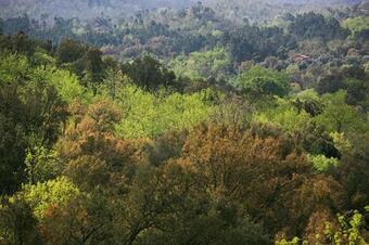 Agroturismo Finca El Zurrador
