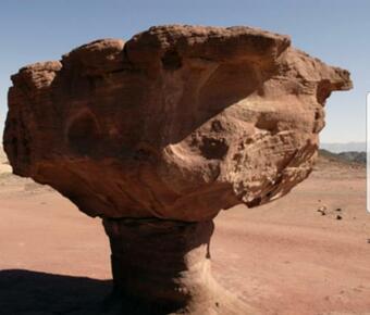 Hostal Red View Beer Ora ??? ???? ??? ????