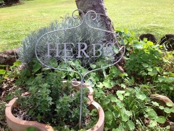 Apartamentos Mapleton Falls Accommodation