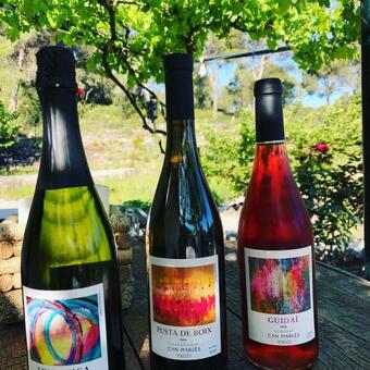 Villa Cal Puig, Enoturismo Rural Entre Vi�as Y Bosques