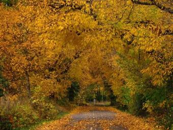 Casa Rural La F�brica De La Luz