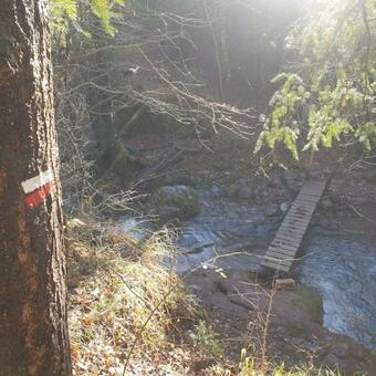 Precioso Apartamento En El Pirineo Catal�n