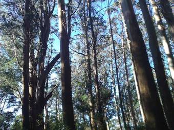 Annie Roes Luxury B&B