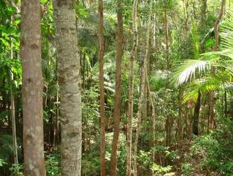 Hotel Amore On Buderim Rainforest Cabins