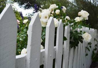 Bed & Breakfast Dunmoylen House