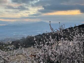 Apartamentos El Cabo