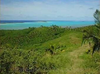 Hotel Paradise Cove Lodge