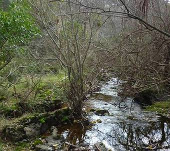 Hostal Arinya Retreat Daylesford