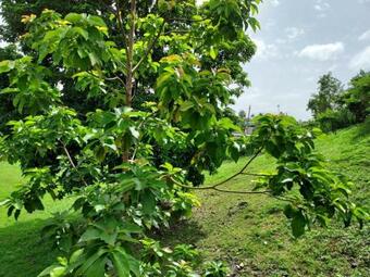 Apartamento Confort Y Relajacion