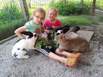 Landgasthof Hotel Zehenthof