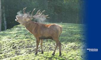 Hotel Gasthof Zur Post