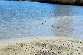 West Side Cottages Unit B By Youngs Suncoast