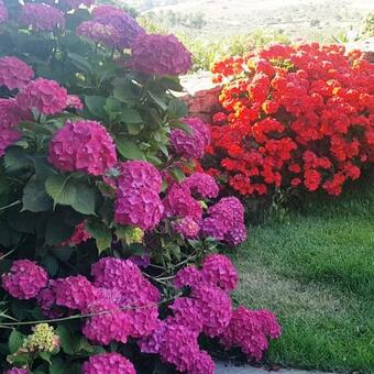 Agroturismo Casa Rural Sierra De Aguafr�a. Finca El Robledillo