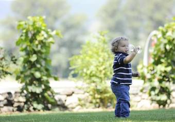 Hostal Winzerhof - G�stehaus St�ger