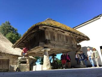 Apartamento Habitaci�n Barbacoa. Cuadruple Con Patio.