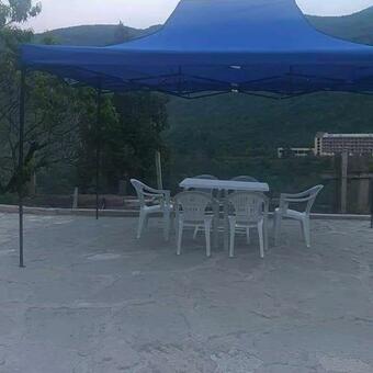 Green Paradise/????? ?????