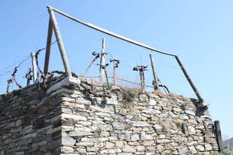 Donauwirt Hotel - Restaurant