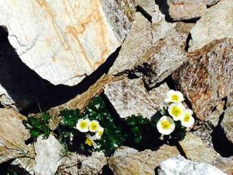 Active Apart Central