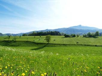 Hotel Landgasthof Neuwirt
