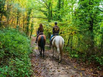 Acogedor Apartamento Valle Del Jerte