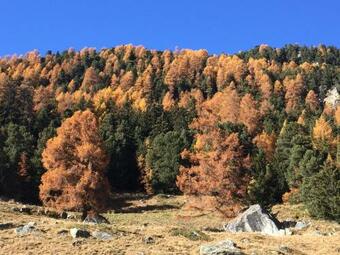 Chalet E Toue