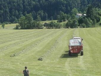 Apartamento Kirchdorf 300