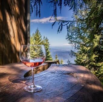 H�tte Gerlitzen Regiojet Hotels&cottages