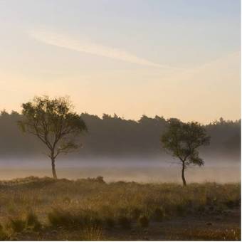 Fletcher Hotel-restaurant De Kempen