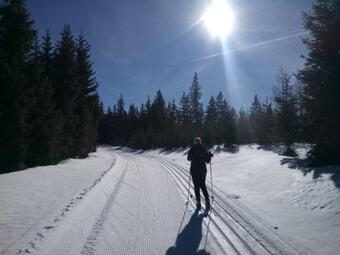 Apartamento Appartement Steiner