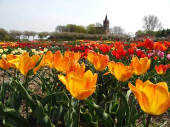 Bed & Breakfast Private Room 'vincent's Attic'