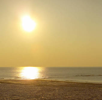 Fletcher Hotel - Restaurant Elzenduin