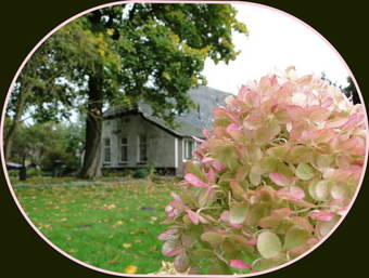 Bed & Breakfast Eve Niets Hoeve