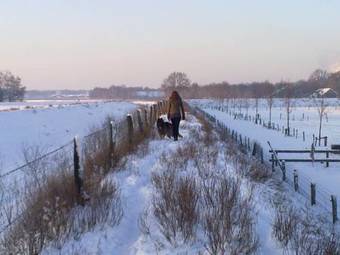 Hotel Herberg De Lindehoeve