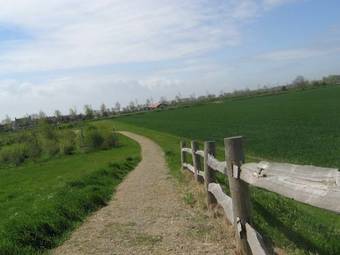 Hostal Hofstede Elzenoord