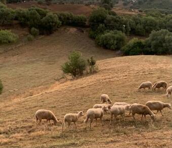 Bed & Breakfast Charmante Chambre Proche A�roport