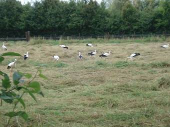 Apartamento Erfgoed De Boemerang