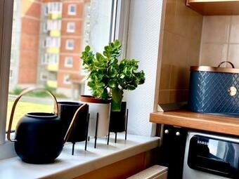 Cozy One Bedroom Apartment In The City Center
