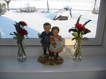 Hostal Farm Overleekerhoeve