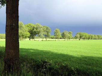 Holiday Home Het Bosmeer