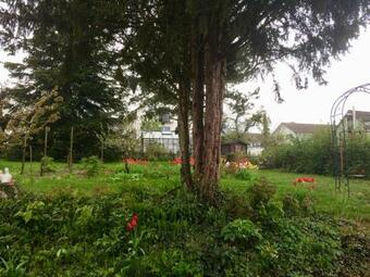 Hostal Guntli?s Family Guesthouse