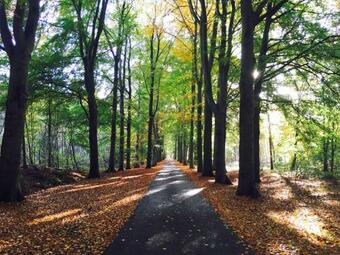 Luxury Bungalow In Drenthe With Pond
