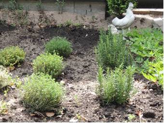 Hotel Herberg De Boer'nkinkel