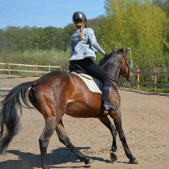 Apartament Nadmorski