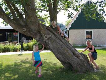 Villa Recreatiepark Wiringherlant I